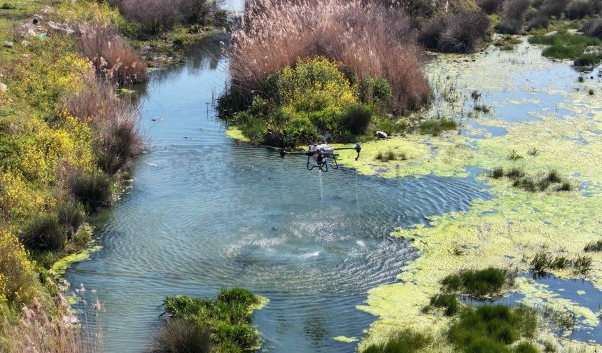Manisa’da sivrisineklerle mücadele sürüyor