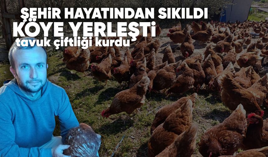 Manisa'daki şehir hayatından sıkılıp tavuk çiftliği kurdu