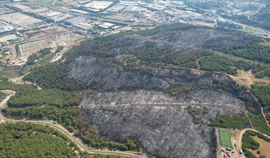 Manisa'da orman yangınlarına karşı tedbirler alınmaya başlandı