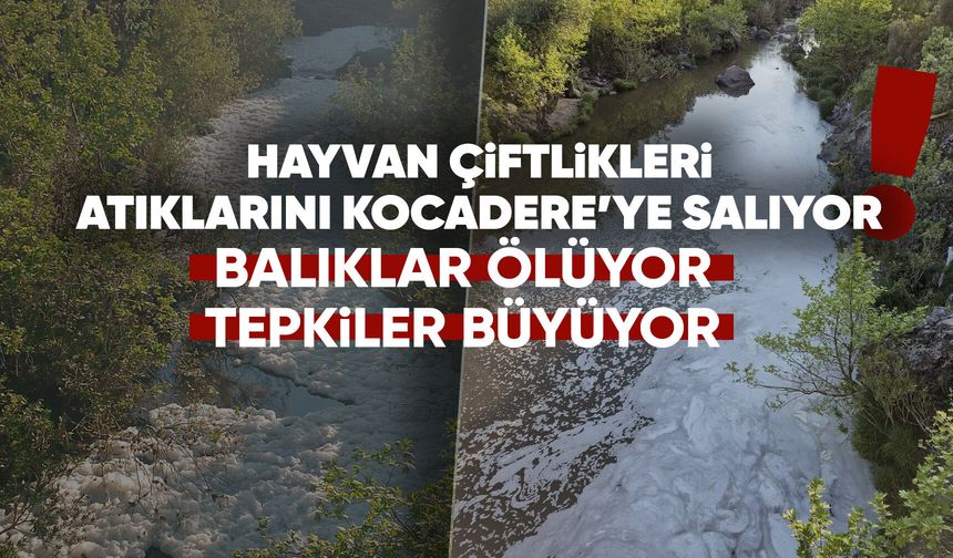 Yuntdağı’nda çevre alarmı: Kocadere katlediliyor!