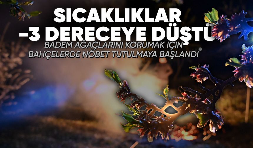 Manisa'da zirai don nöbeti tutuluyor