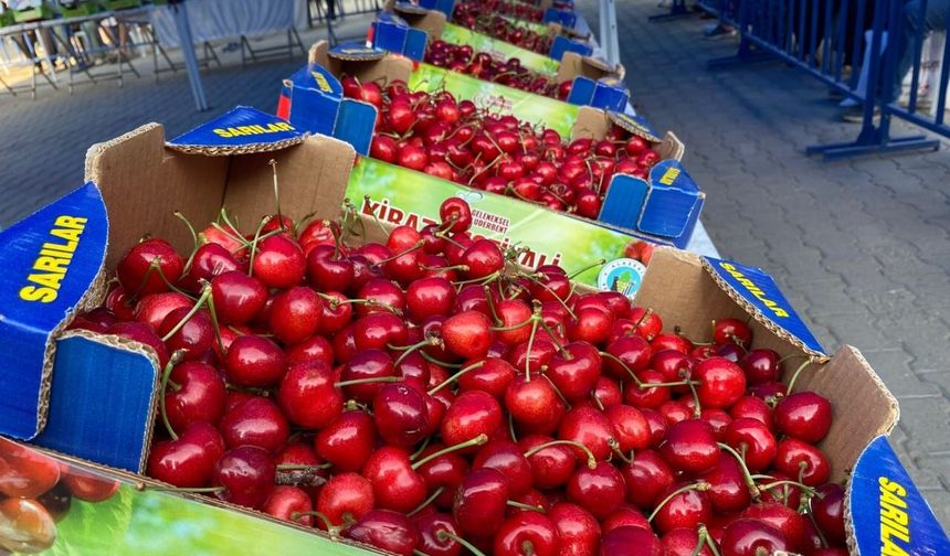 Alaşehir'in en güzel kirazı seçildi
