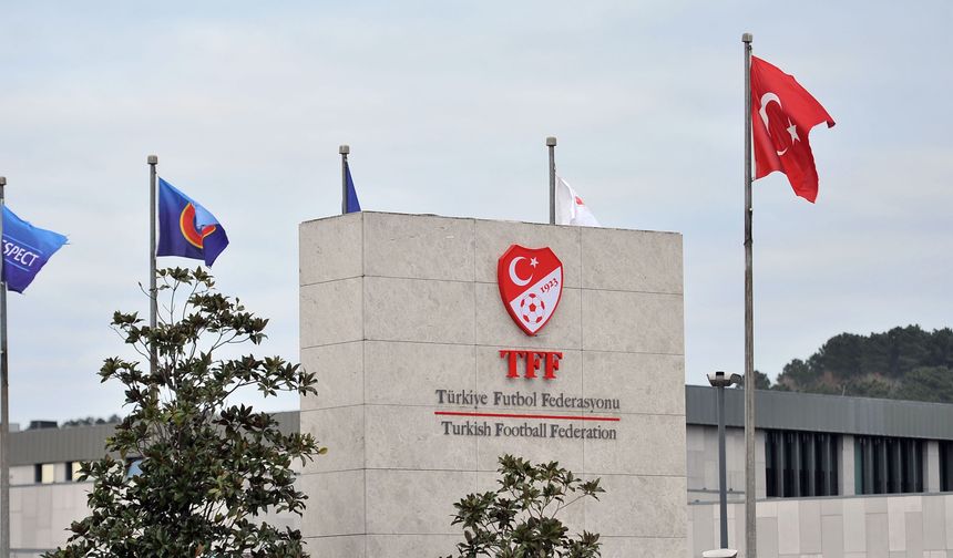 Manisa FK, profesyonel futbol liglerinde lisans alan kulüpler arasında