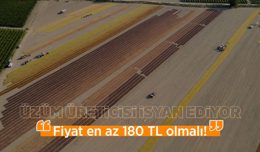 Manisalı üzüm üreticisi fiyat bekliyor