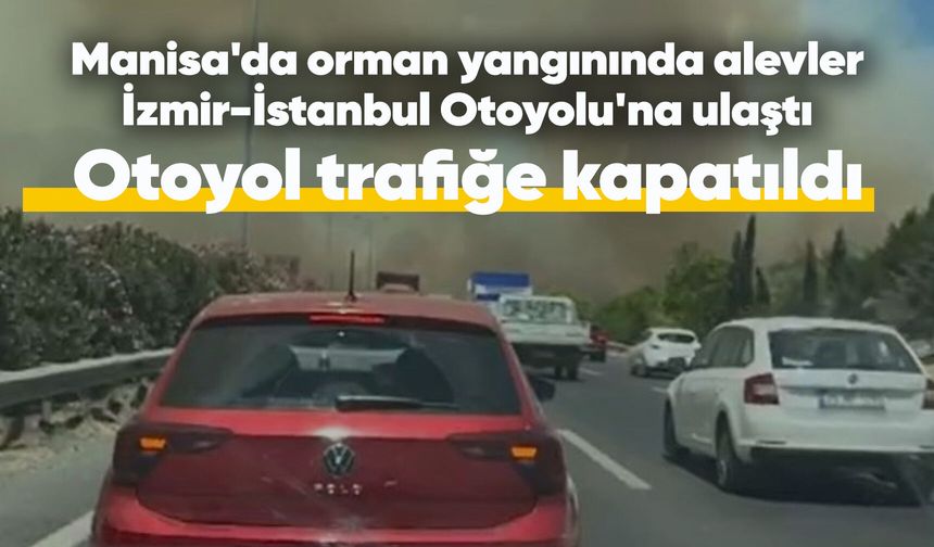 Manisa'da orman yangınında alevler İzmir-İstanbul Otoyolu'na ulaştı