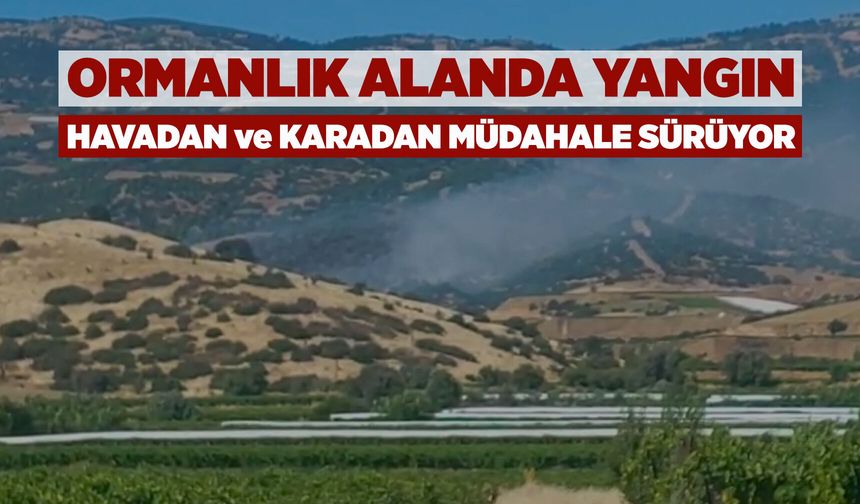 Sarıgöl'de orman yangını: Havadan ve karadan müdahale ediliyor