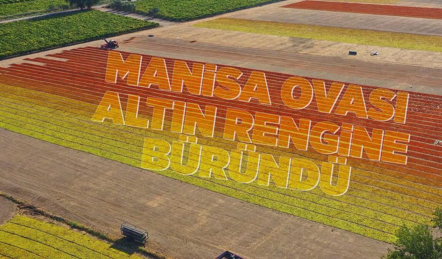 Manisa Ovası'nda kartpostallık görüntüler