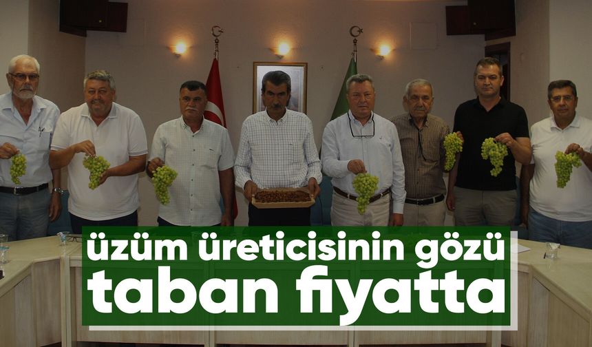 Kuru üzüm üreticisi taban fiyat için TMO'ya seslendi