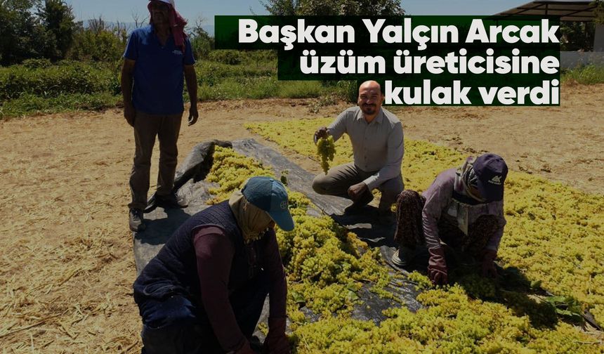 Manisa’da üzüm üreticisi fiyat bekliyor