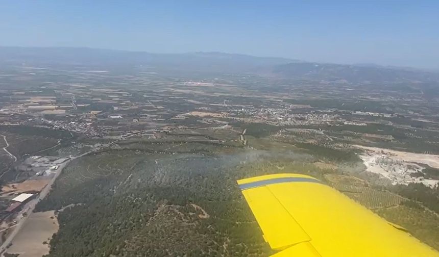 Soma'da orman yangını: Havadan ve karadan müdahale sürüyor
