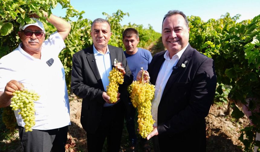Manisa’da bağ bozumu heyecanı başladı