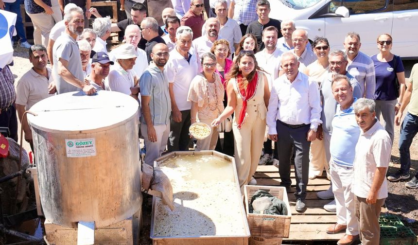 Yuntdağı Fıstığı'nda coşkulu hasat şenliği