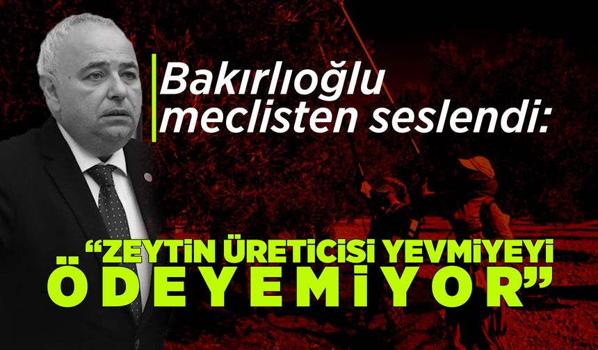Manisalı zeytincinin çığlığı Meclis kürsüsünde