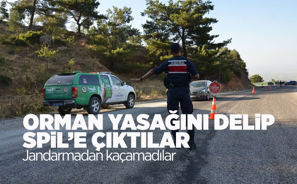 Manisa'da orman yasağını delenlere ceza yağdı