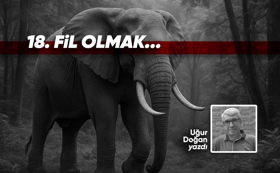 18. FİL OLMAK...