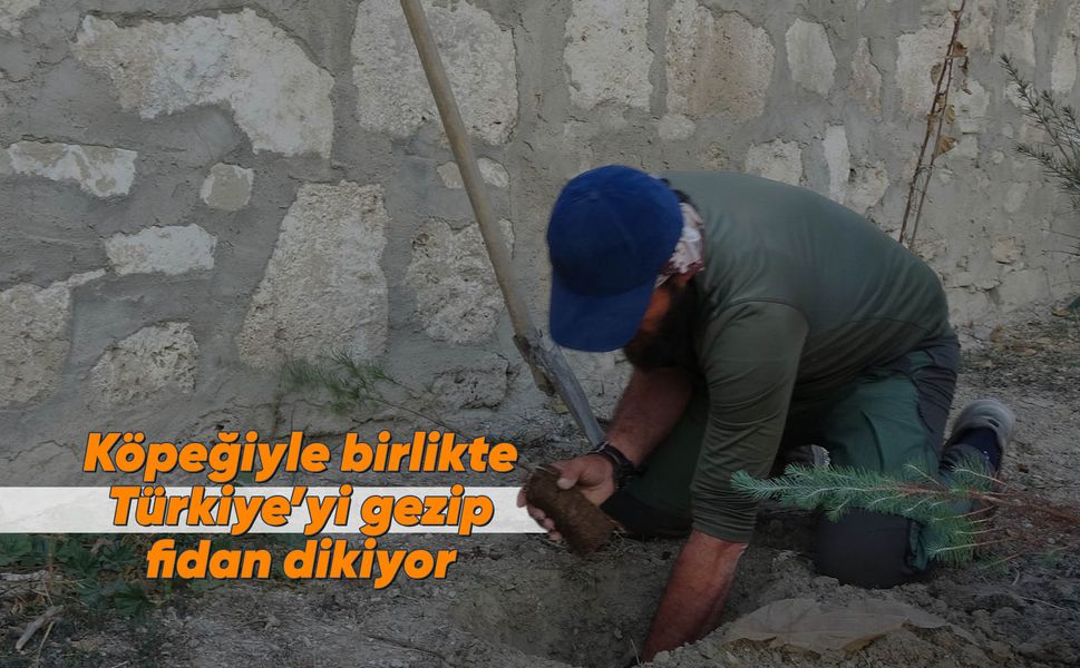 Manisalı gezgin köpeği ile seyahat edip fidan dikiyor