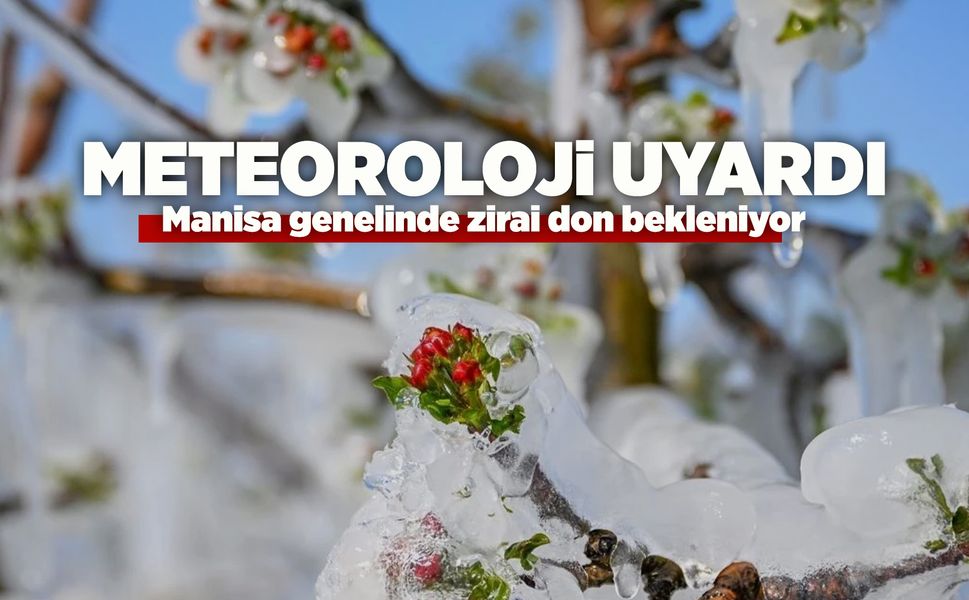 Manisa'ya zirai don uyarısı yapıldı