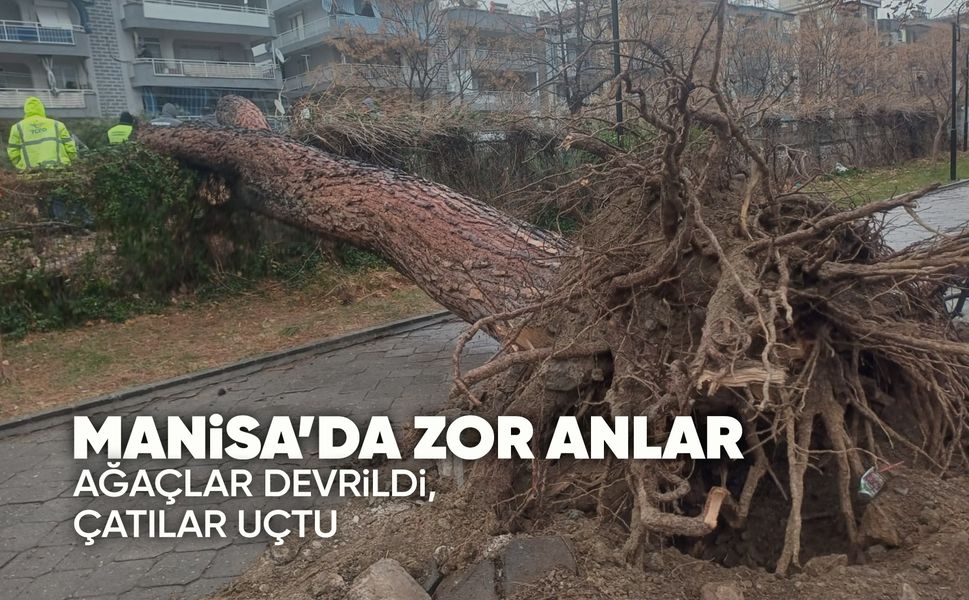 Manisa'yı fırtına vurdu, ağaçlar devrildi, çatılar uçtu