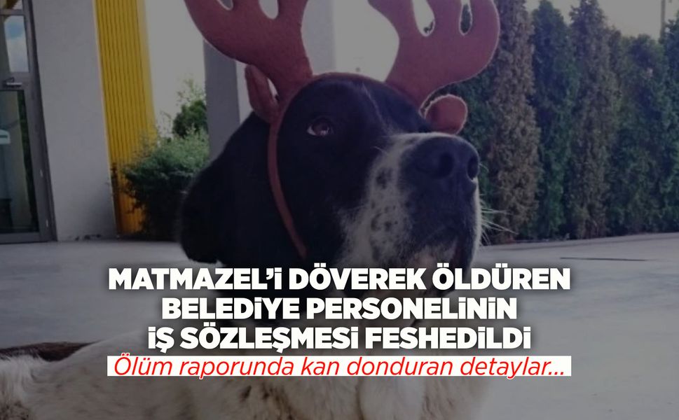 ‘Matmazel'i döven personelin iş sözleşmesi feshedildi!