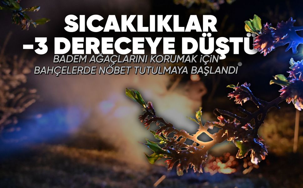 Manisa'da zirai don nöbeti tutuluyor