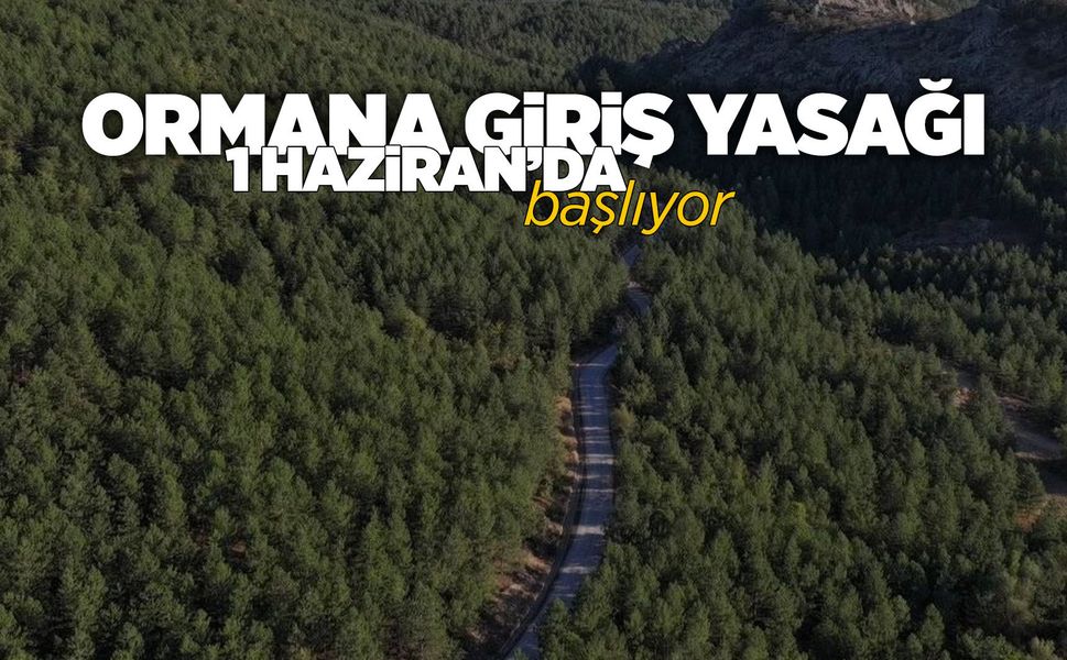 Manisa'da ormana giriş yasağı başlıyor: Hangi alanlara giriş yasaklandı?