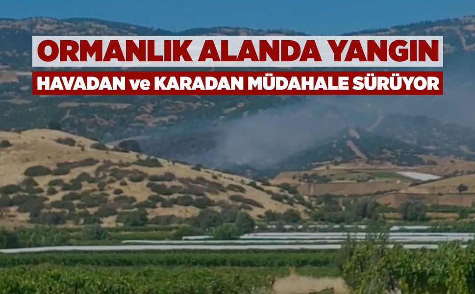 Sarıgöl'de orman yangını: Havadan ve karadan müdahale ediliyor