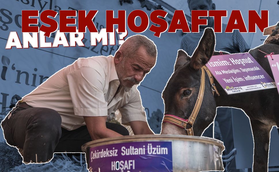 Manisa'da eşek hoşafa direndi, ortaya renkli görüntüler çıktı