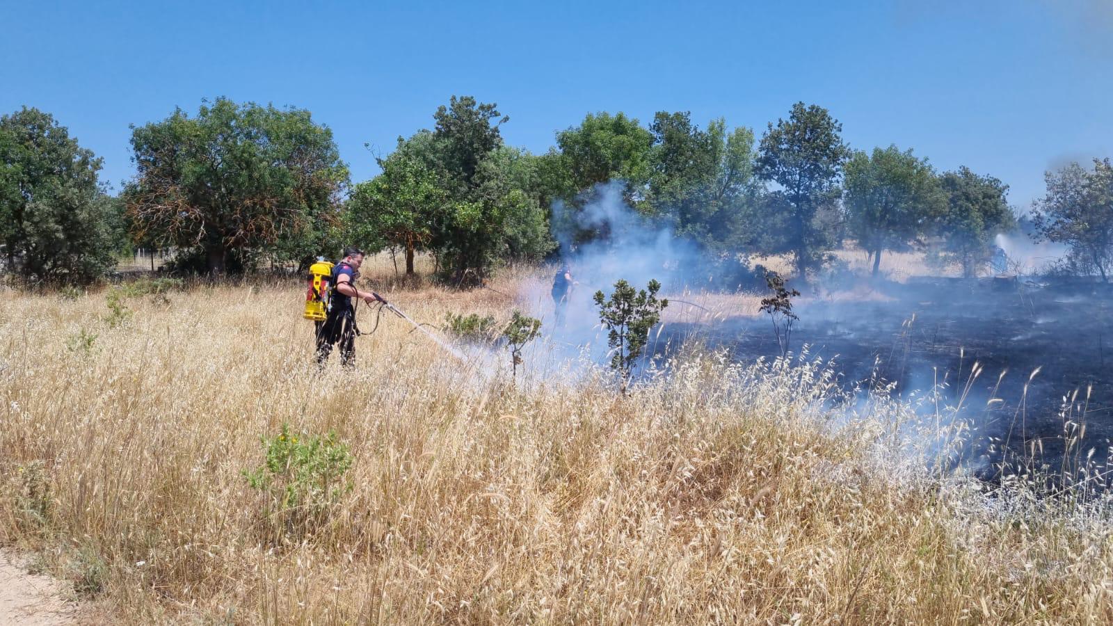 Ormanlık Alanı Tehdit Eden Yangına Acil Müdahale (2)