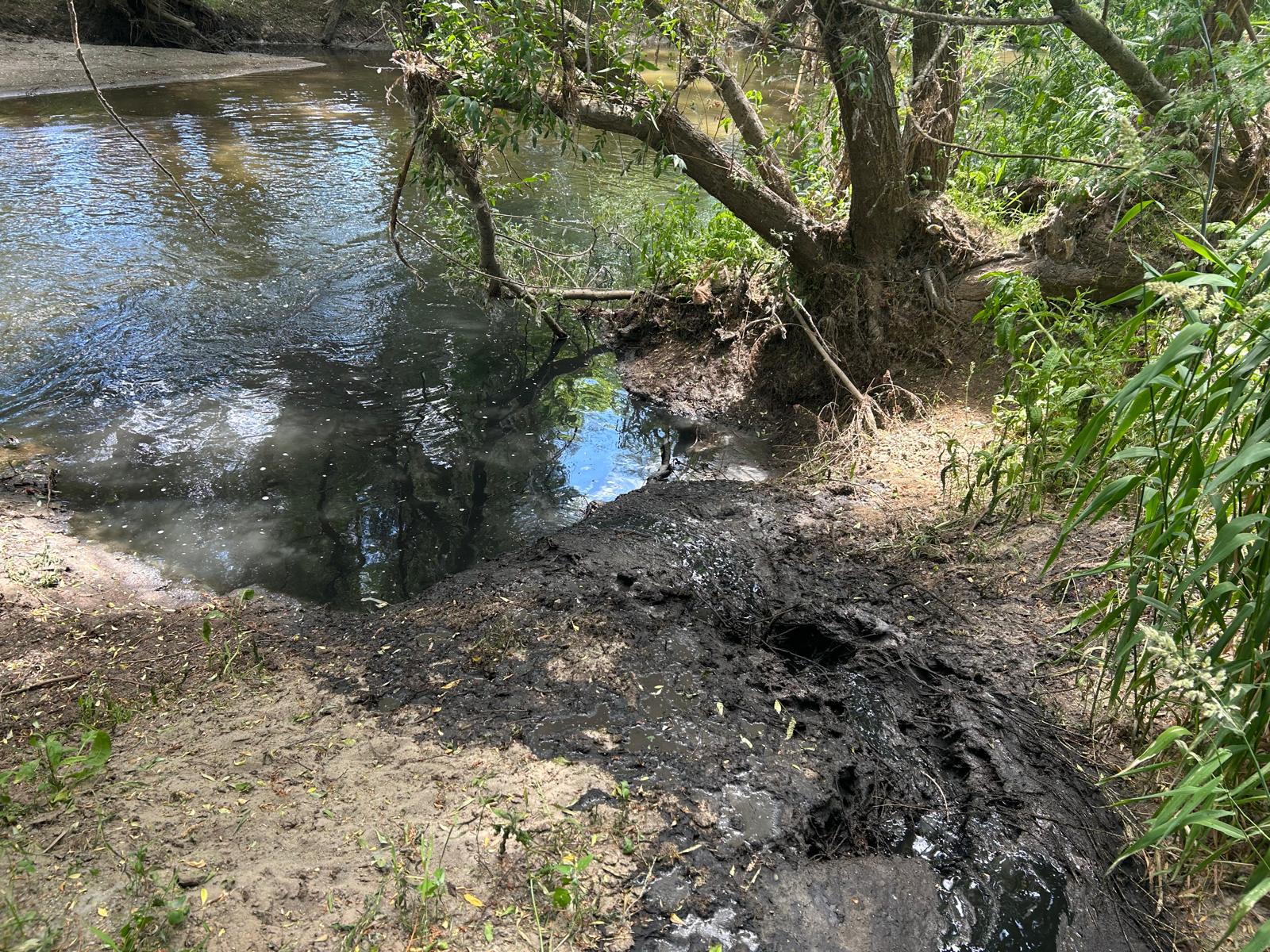 Büyükşehir’den Gediz Nehri’ni Kirletenlere Suçüstü (5)