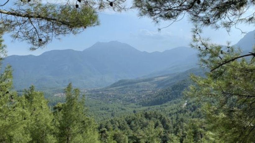 Manisa'da ormana giriş yasağı başladı