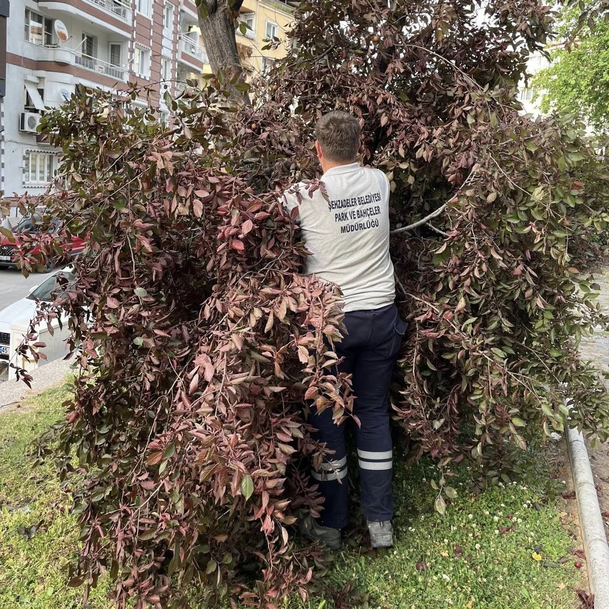 Şehzadeler Belediyesi’nden Fırtına Mesaisi (5)