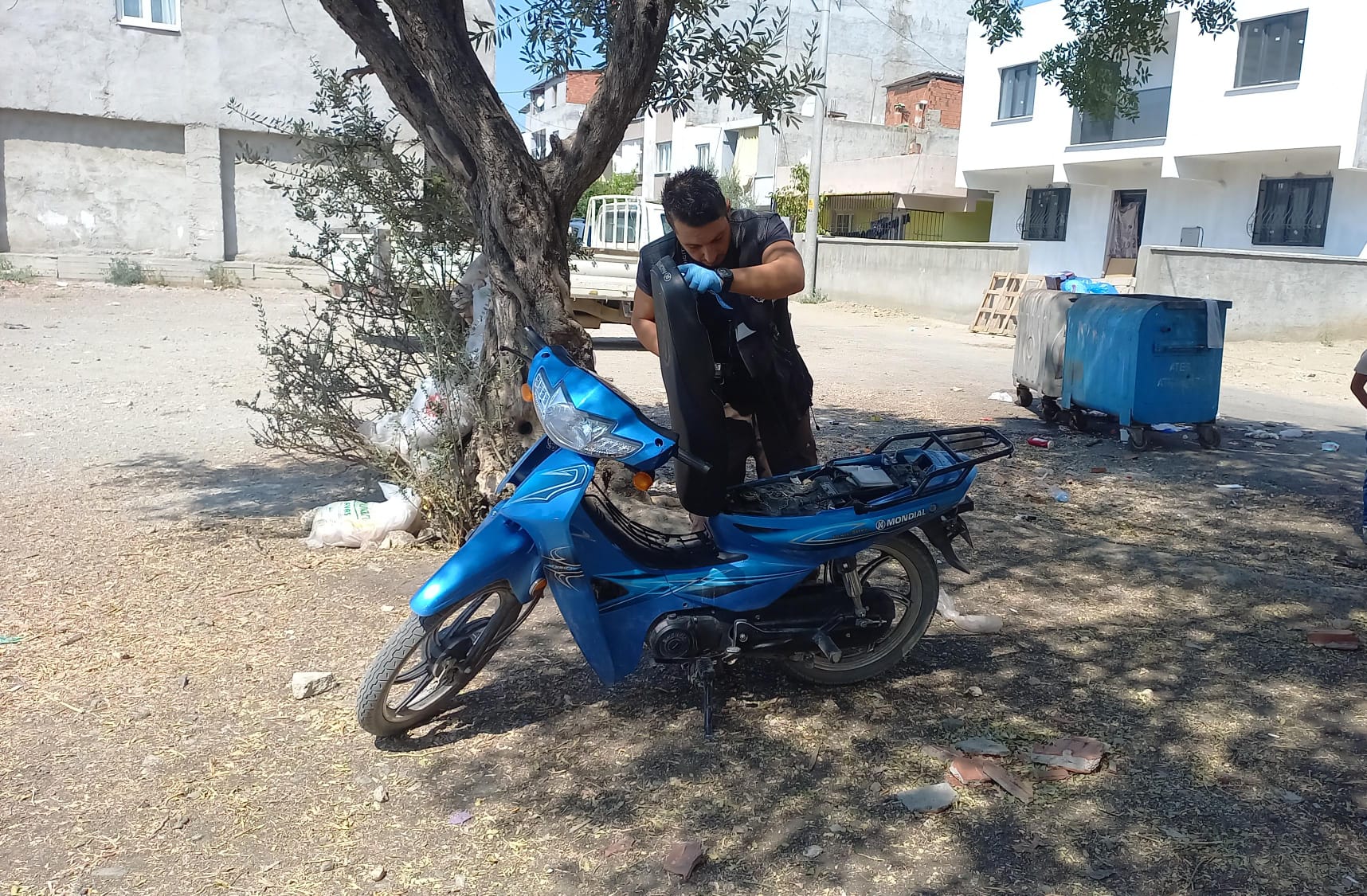 Whatsapp Image 2025 08 19 At 15.56.50