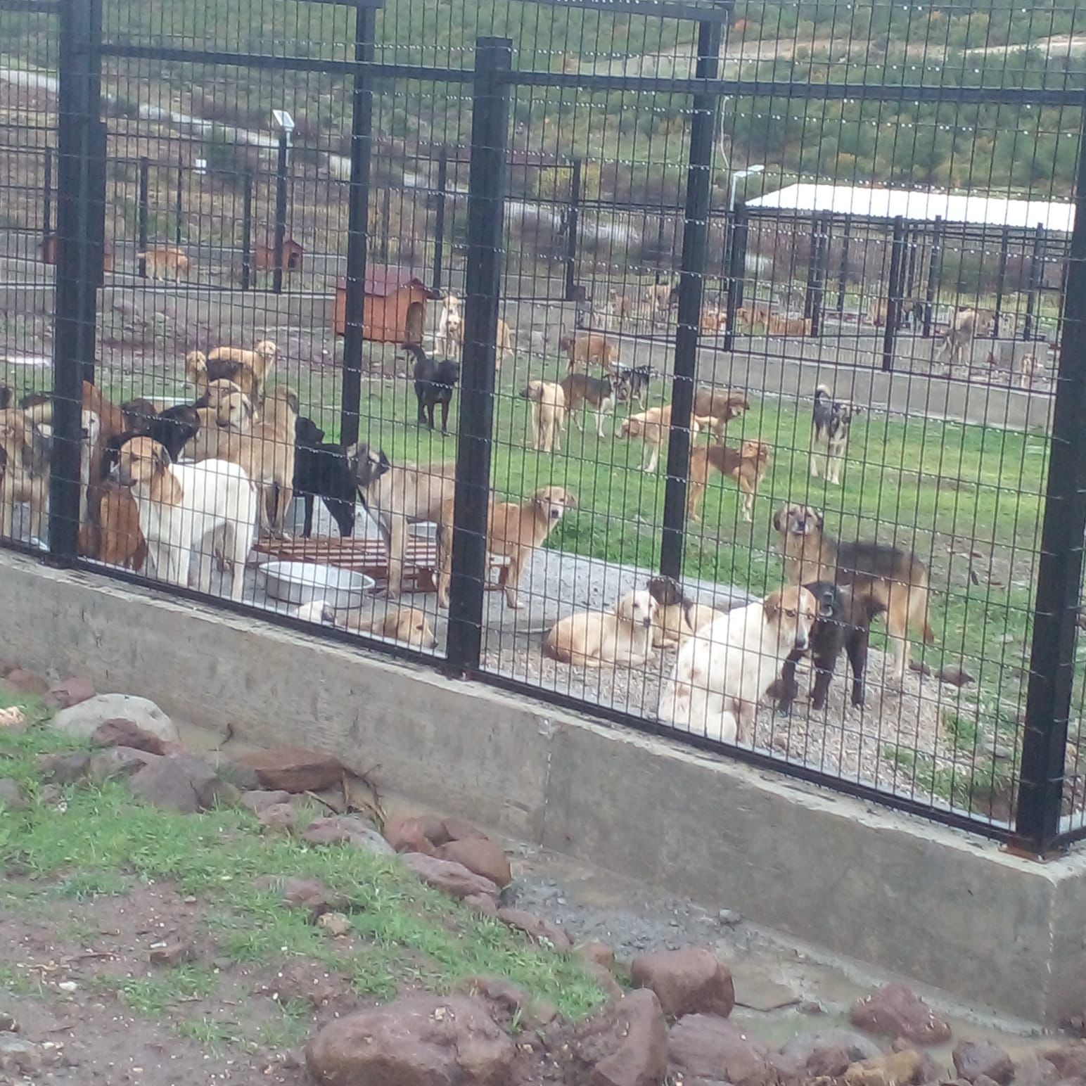 Whatsapp Image 2025 11 29 At 14.44.15 (1)