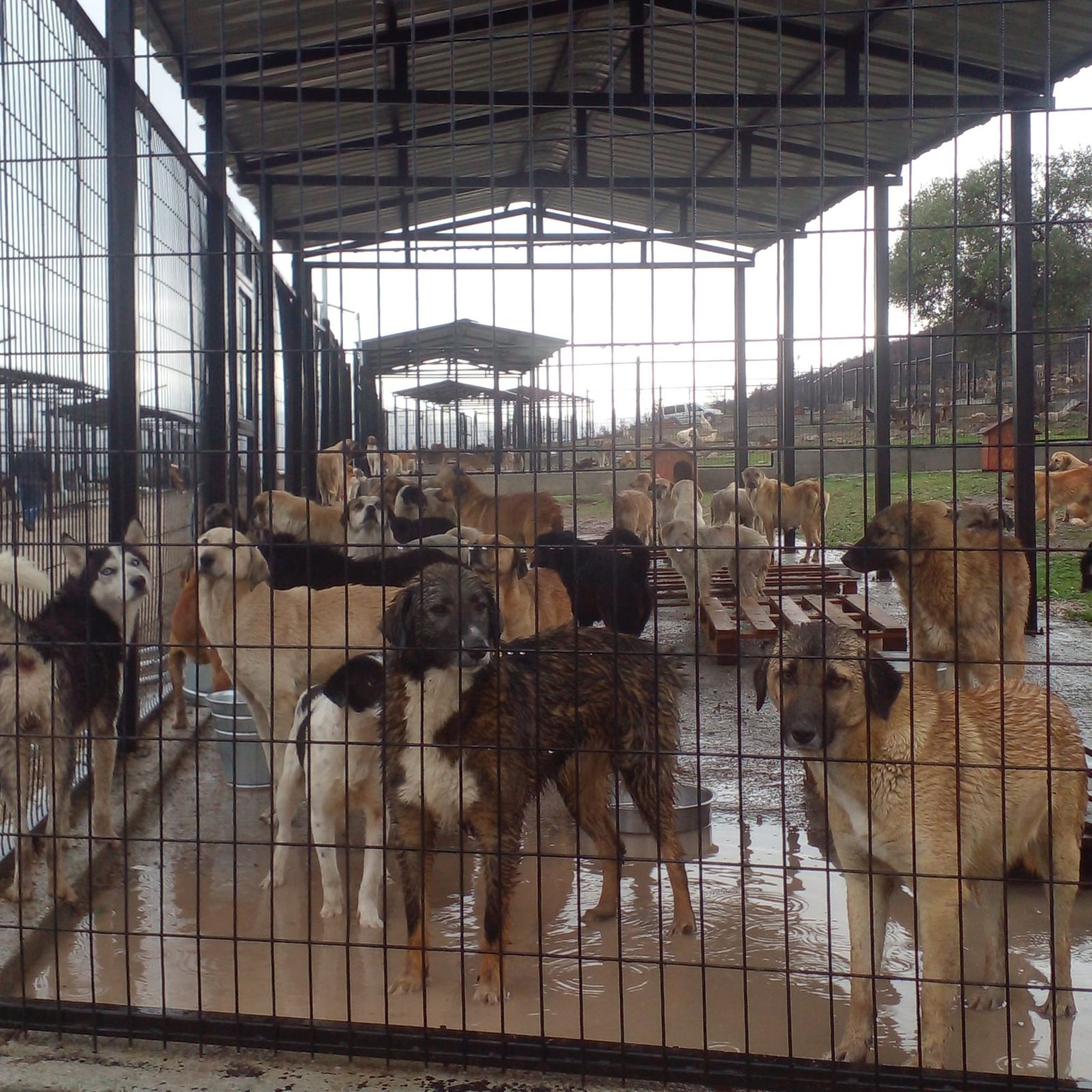 Whatsapp Image 2025 11 29 At 14.44.15 (3)