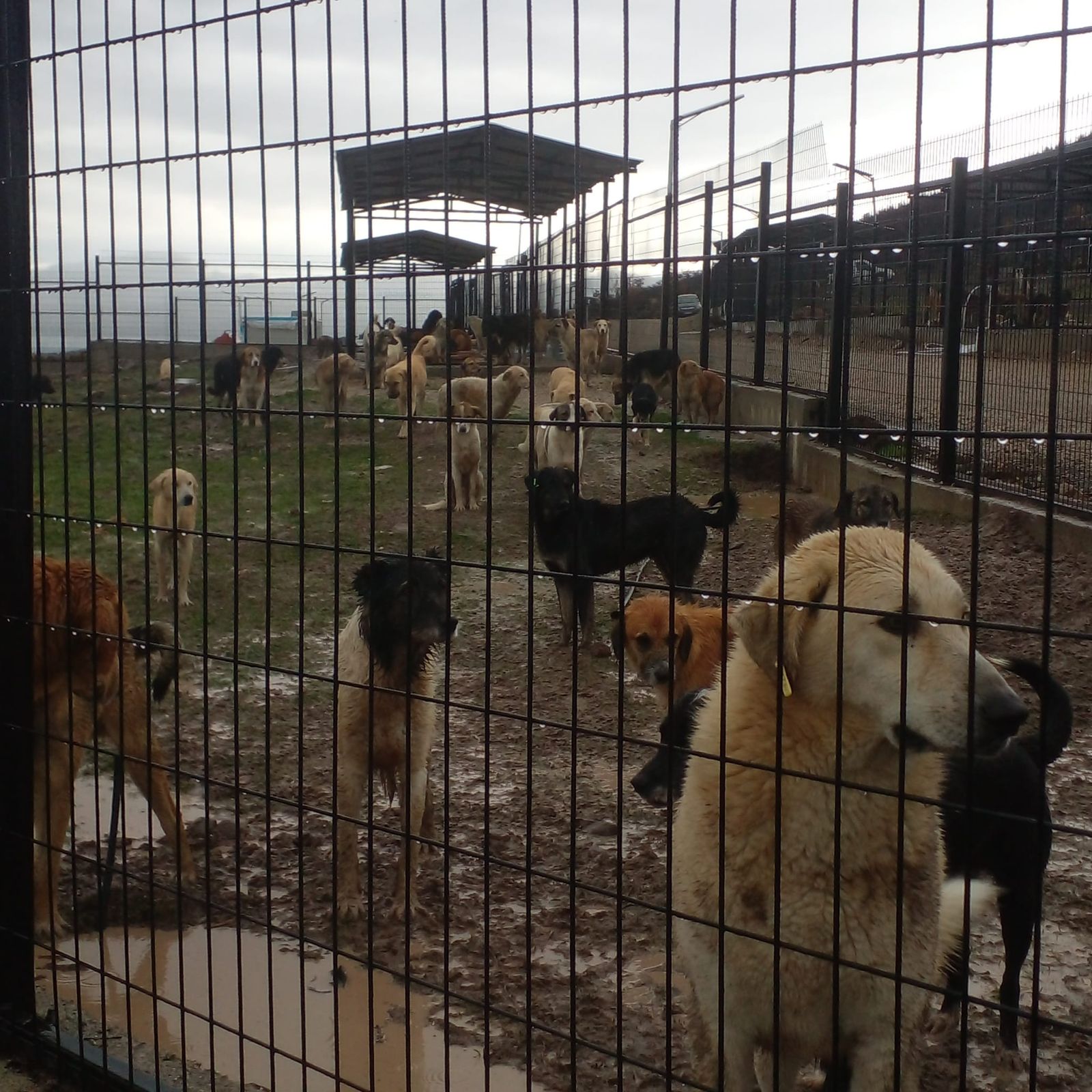 Whatsapp Image 2025 11 29 At 14.44.15