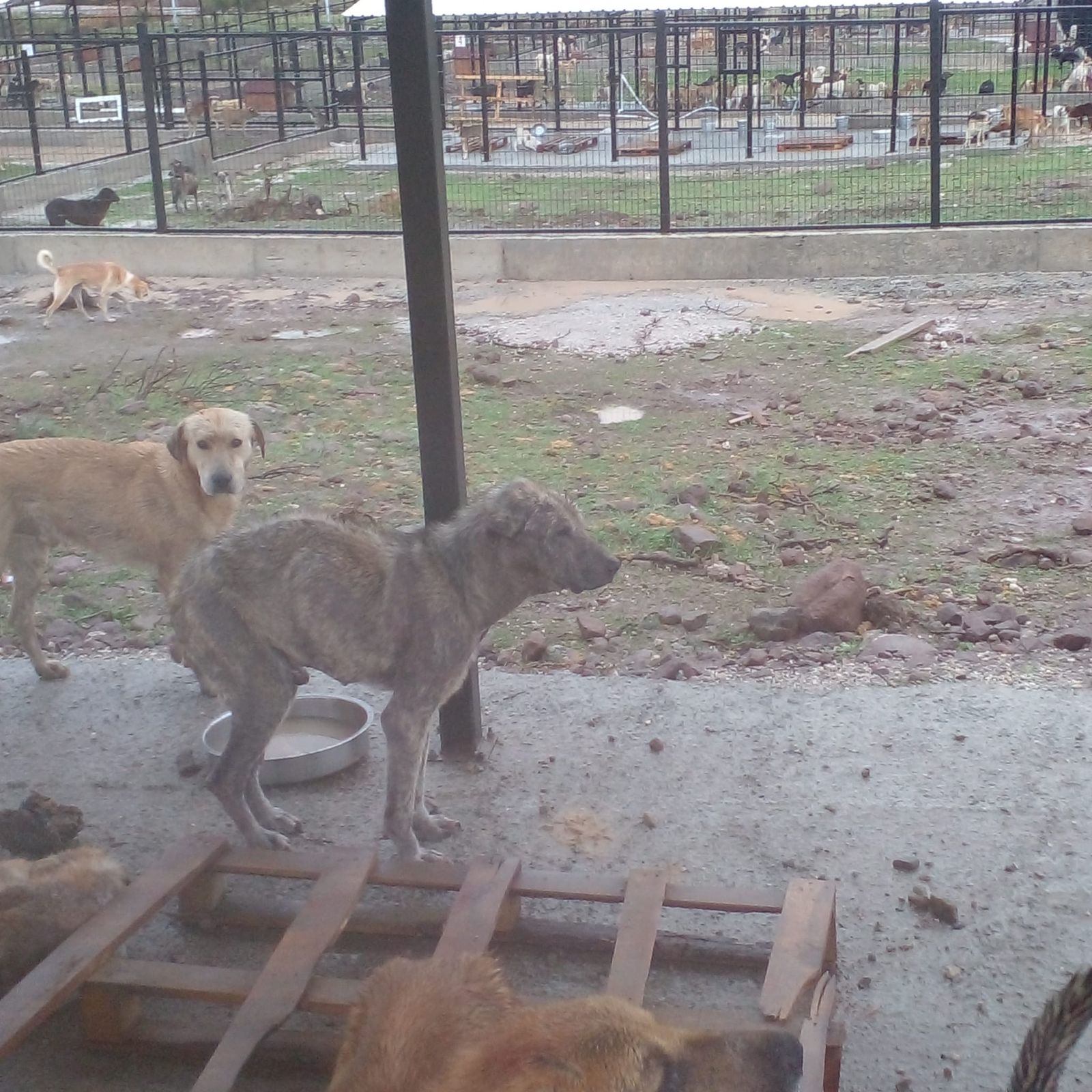 Whatsapp Image 2025 11 29 At 14.44.16 (1)