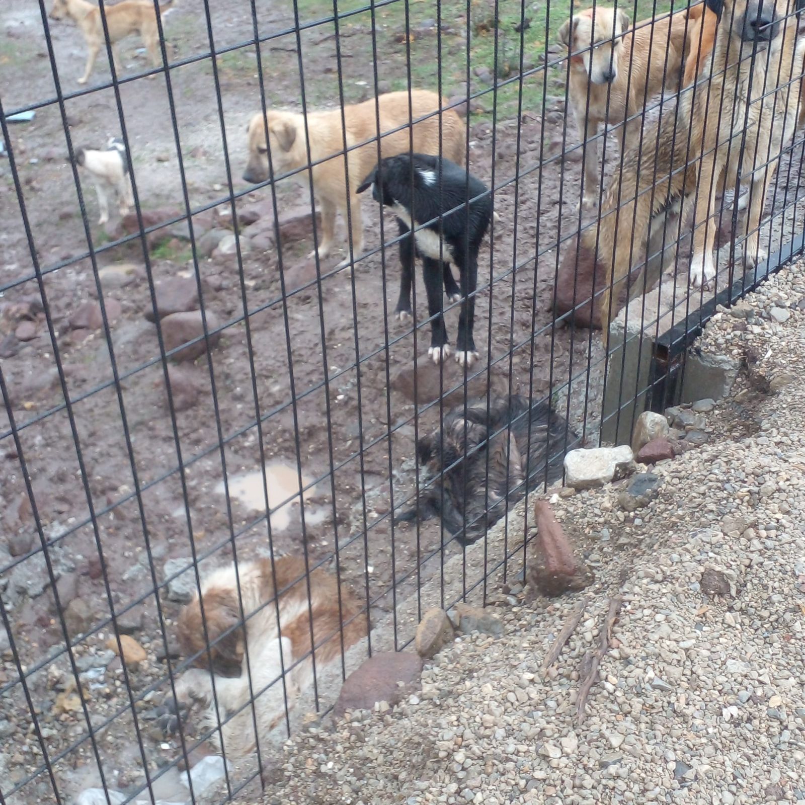 Whatsapp Image 2025 11 29 At 14.44.16