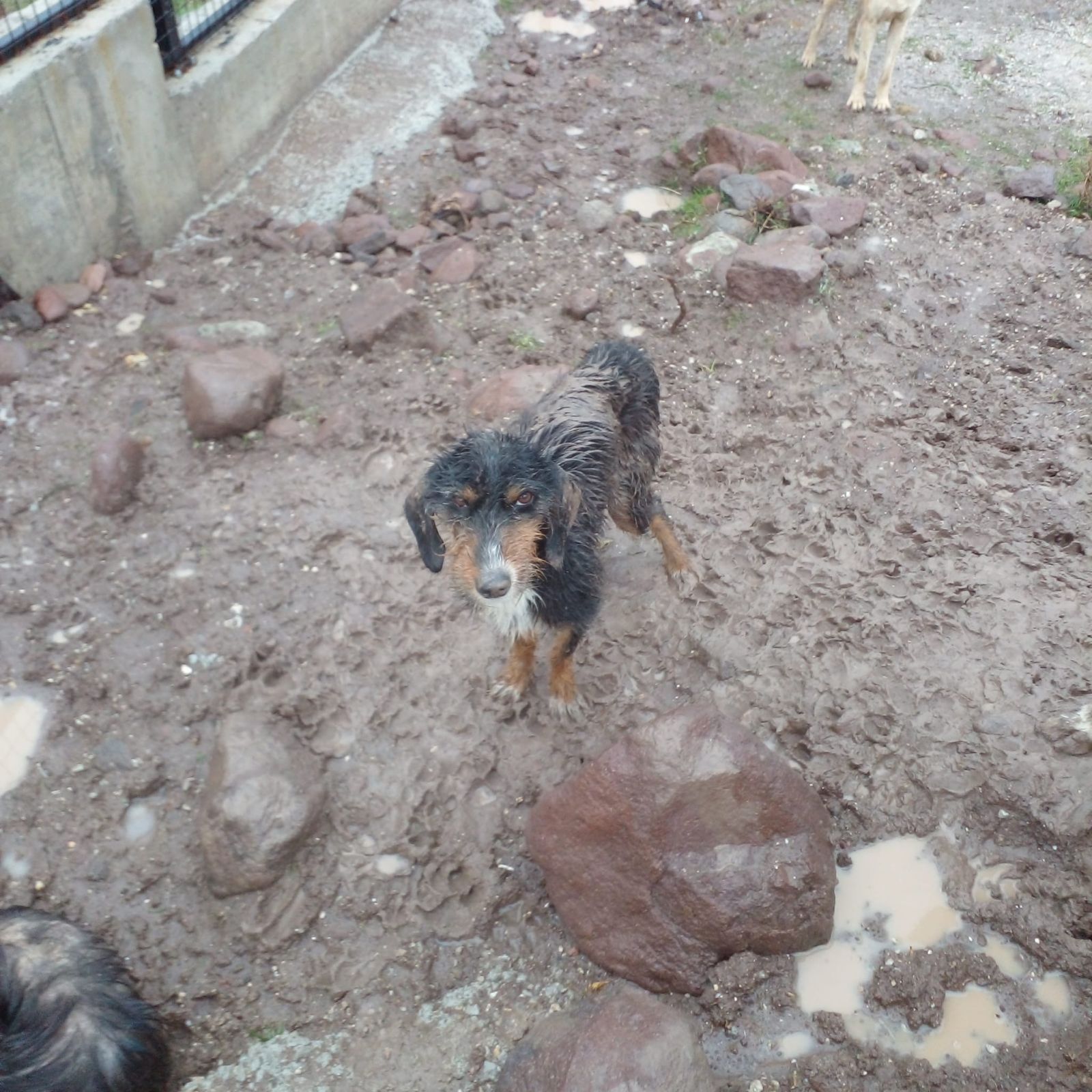 Whatsapp Image 2025 11 29 At 14.44.17 (1)