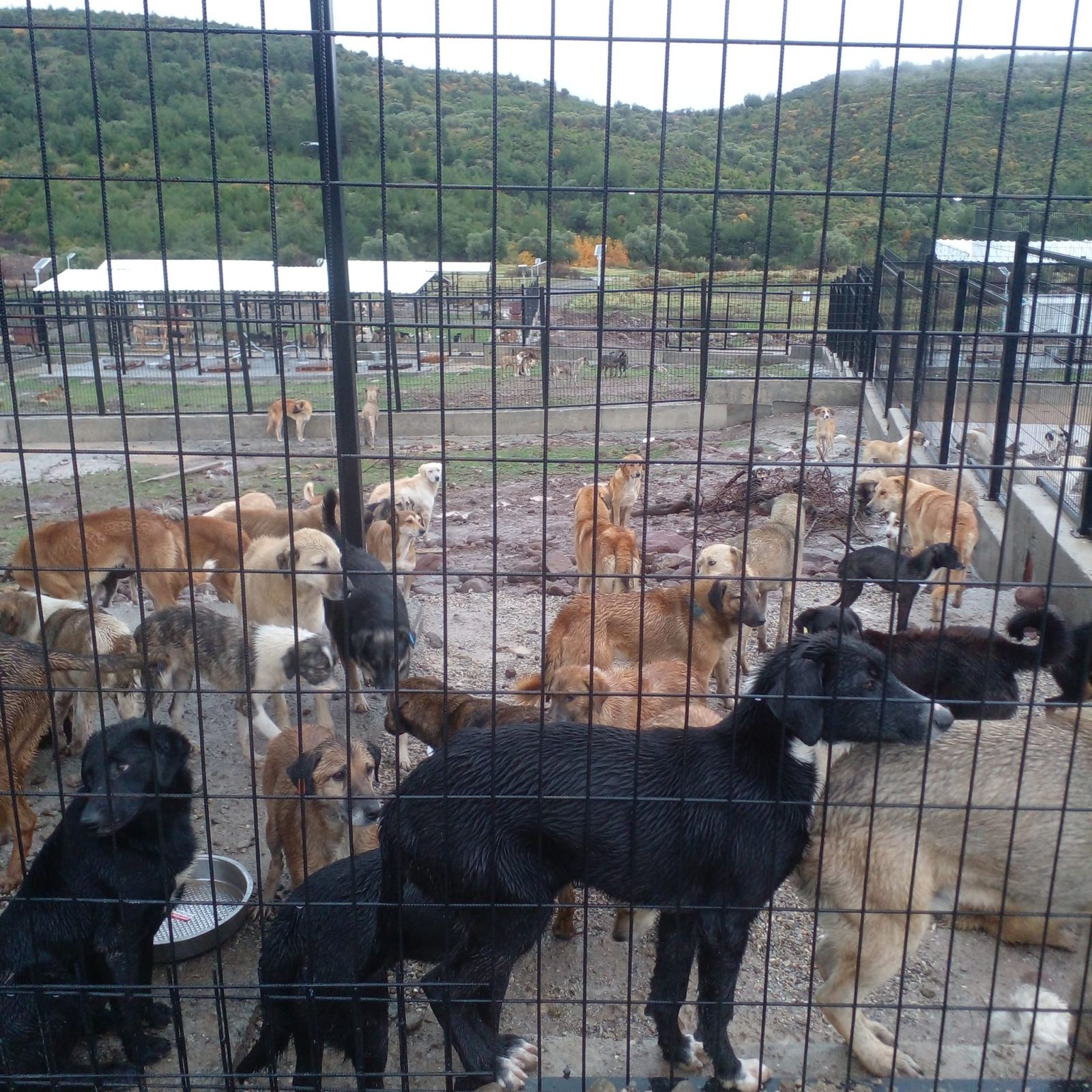 Whatsapp Image 2025 11 29 At 14.44.17