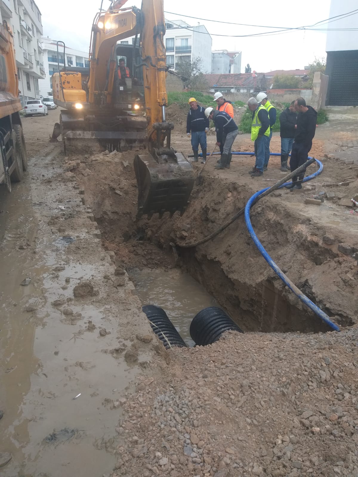 Whatsapp Image 2025 12 05 At 16.31.46