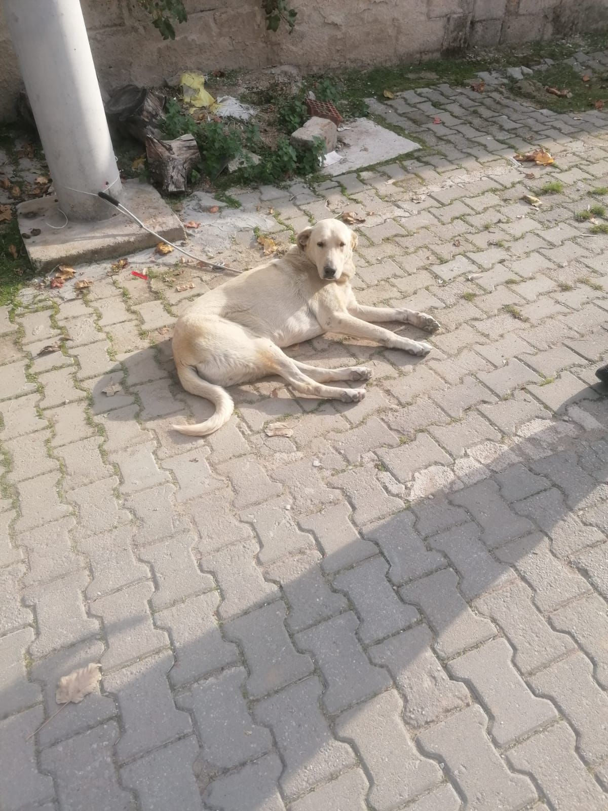 Whatsapp Image 2025 12 08 At 23.56.09 (1)