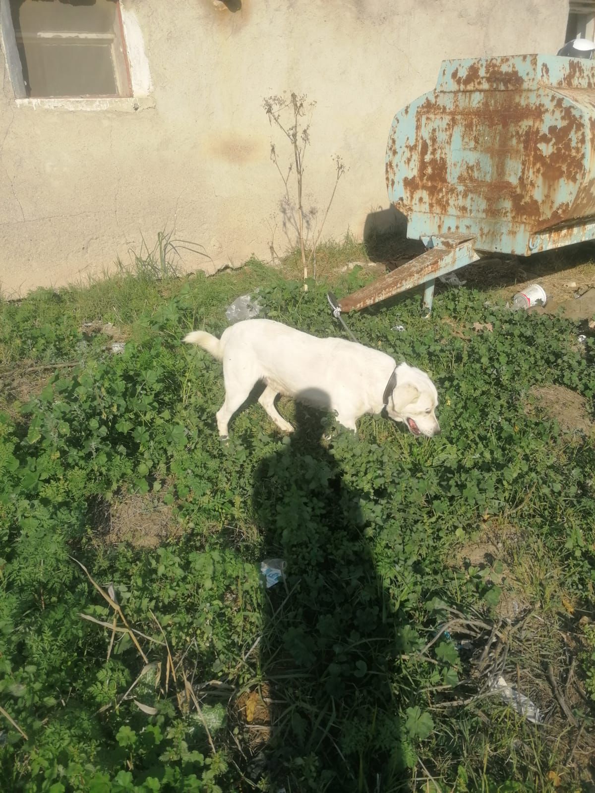 Whatsapp Image 2025 12 08 At 23.56.09 (2)