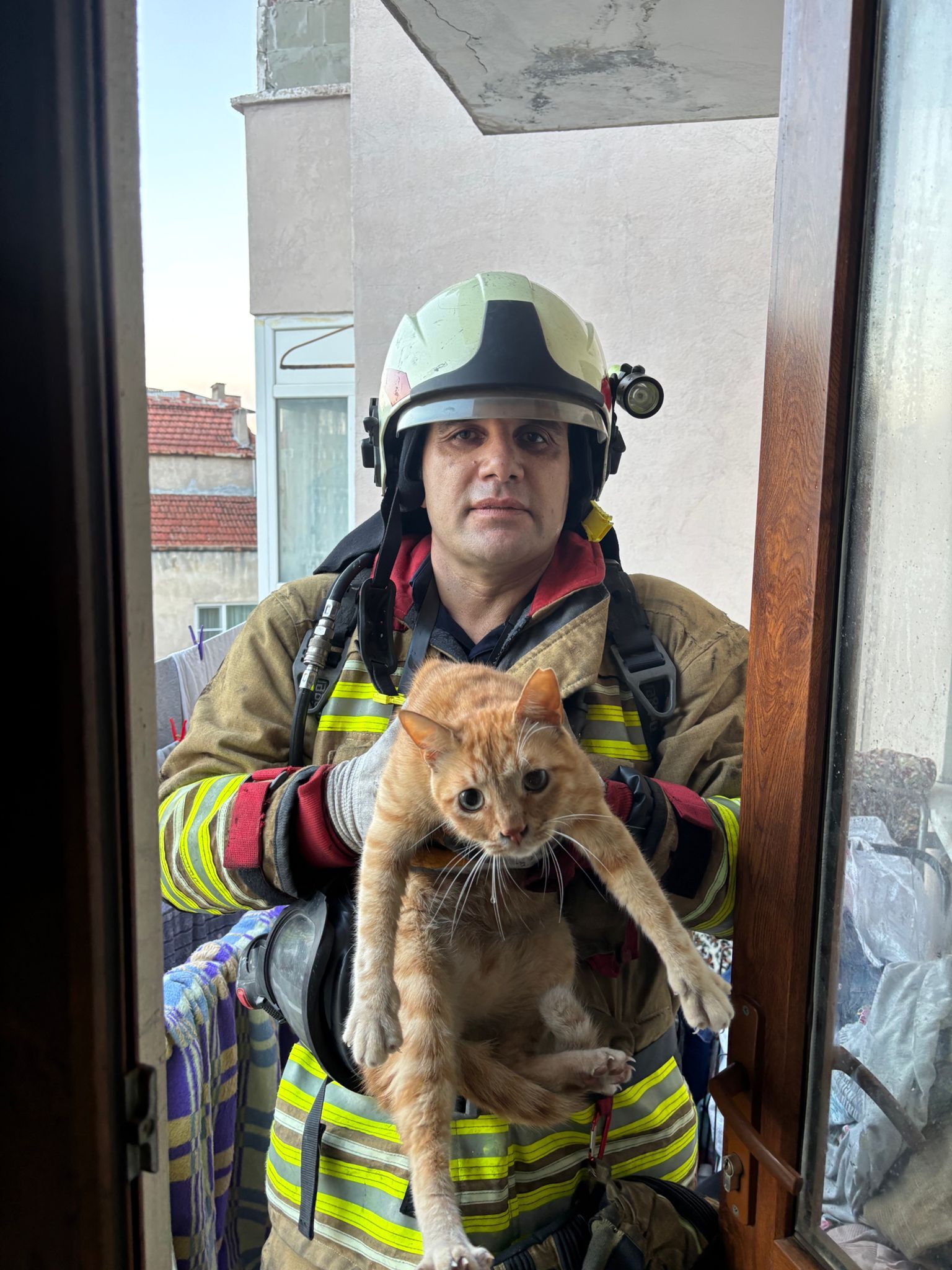 Whatsapp Image 2025 12 18 At 10.07.18