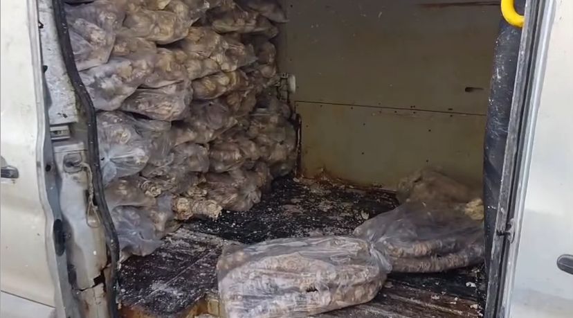 Whatsapp Image 2025 12 20 At 11.25.02 (3)