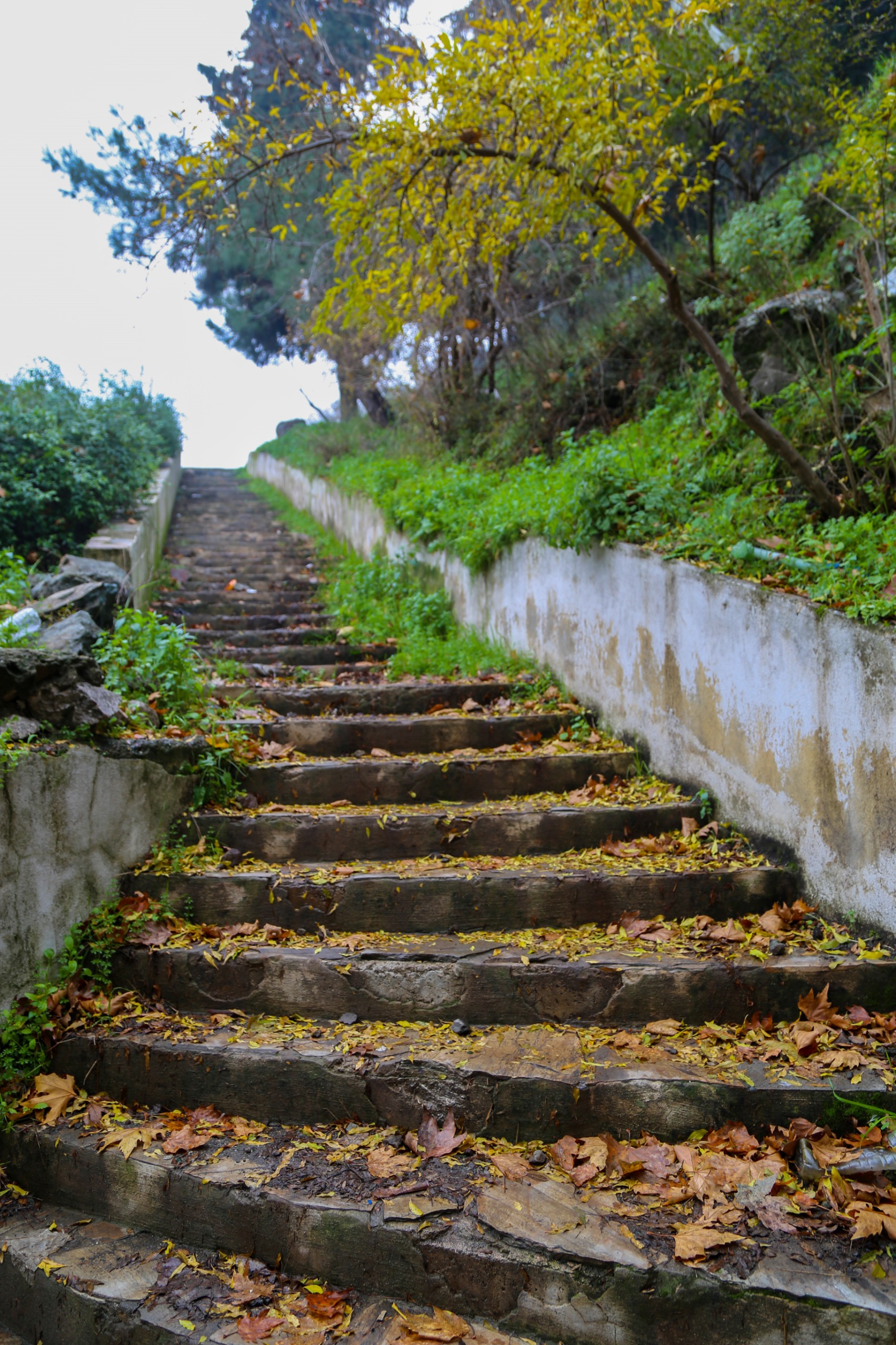 Whatsapp Image 2025 12 22 At 14.37.16 (1)