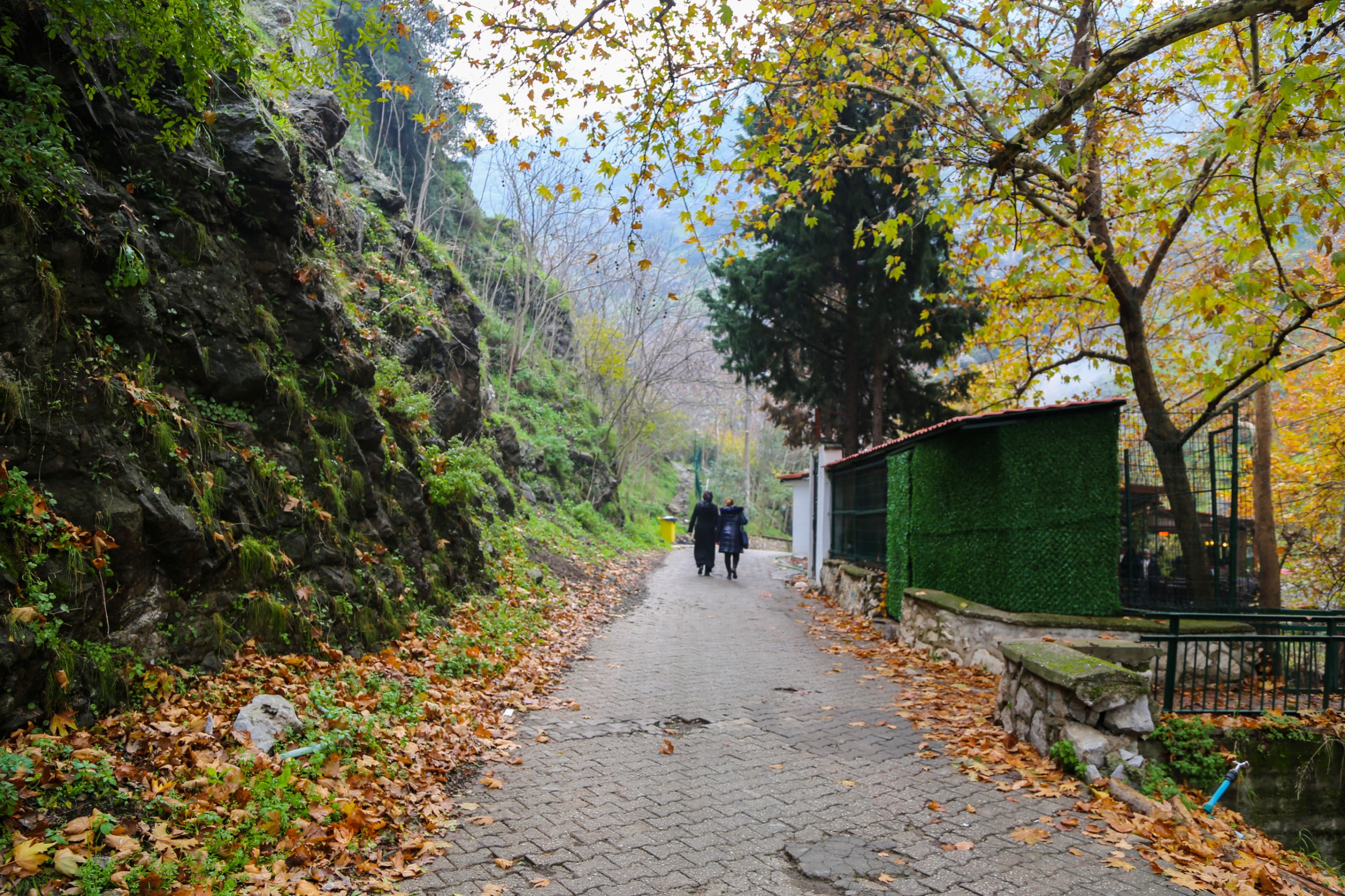 Whatsapp Image 2025 12 22 At 14.37.16 (4)