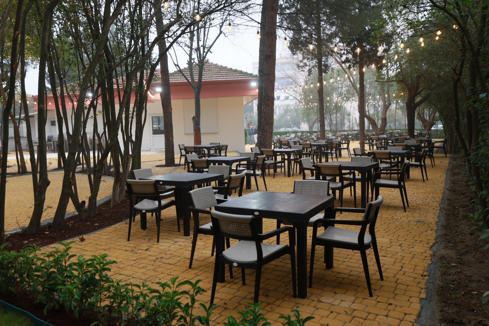 Whatsapp Image 2025 12 26 At 10.58.56