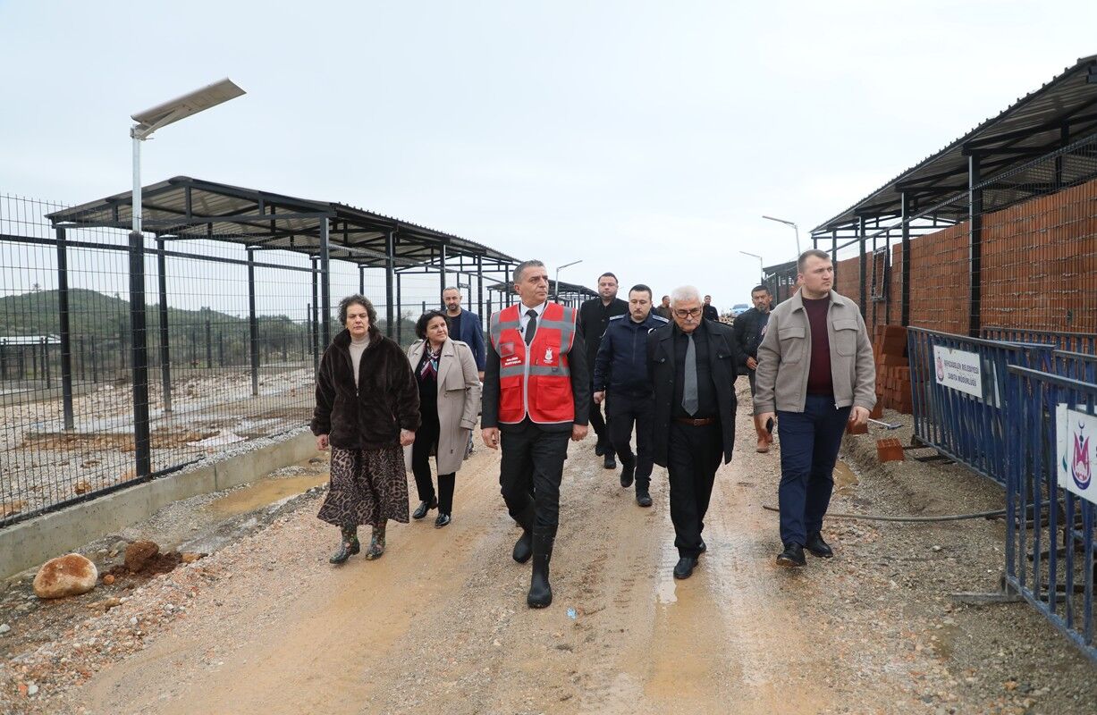 Whatsapp Image 2026 01 23 At 16.45.12 (1)