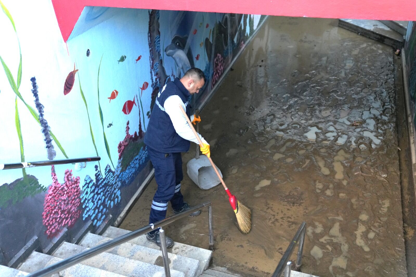 Whatsapp Image 2026 01 30 At 13.05.37 (1)