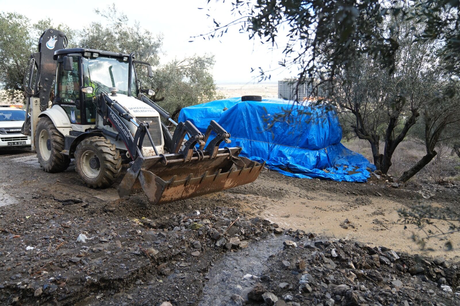 Whatsapp Image 2026 01 30 At 13.06.00